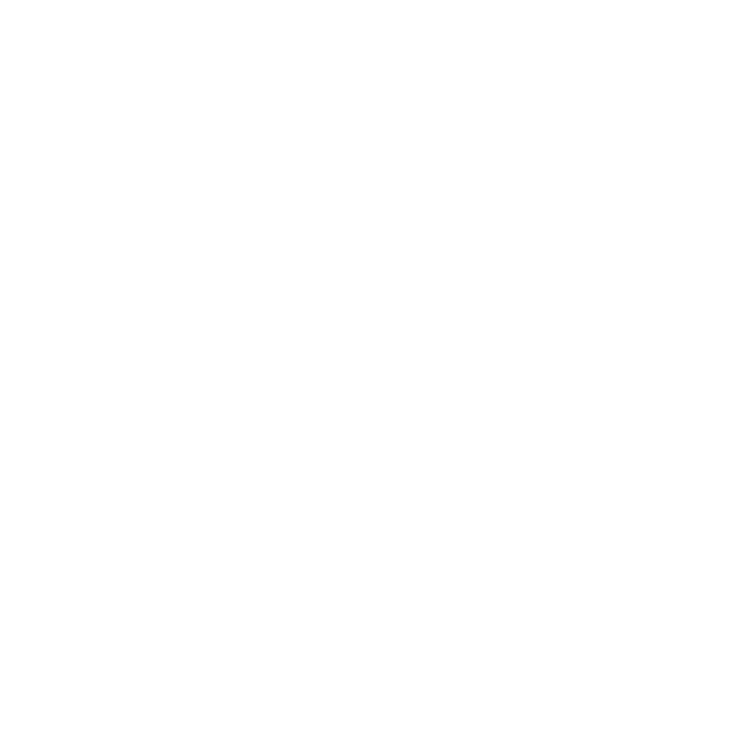 logo1